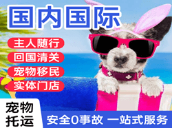 承德机场货运国际宠物托运 【国